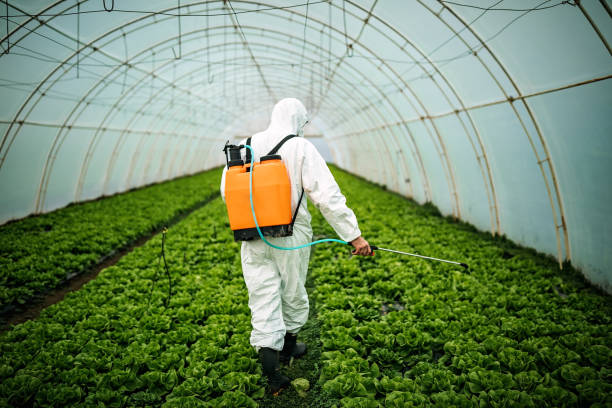 Pest Control for Restaurants in Trevorton, PA
