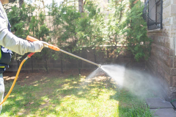 Best Local Pest Control Services  in Trevorton, PA