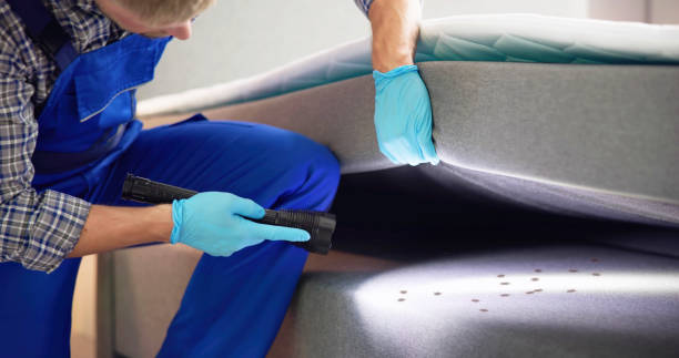 Professional Pest Control in Trevorton, PA