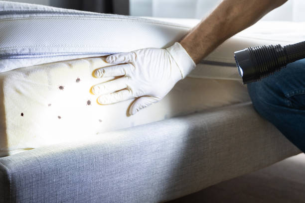 Best Pest Removal Services  in Trevorton, PA