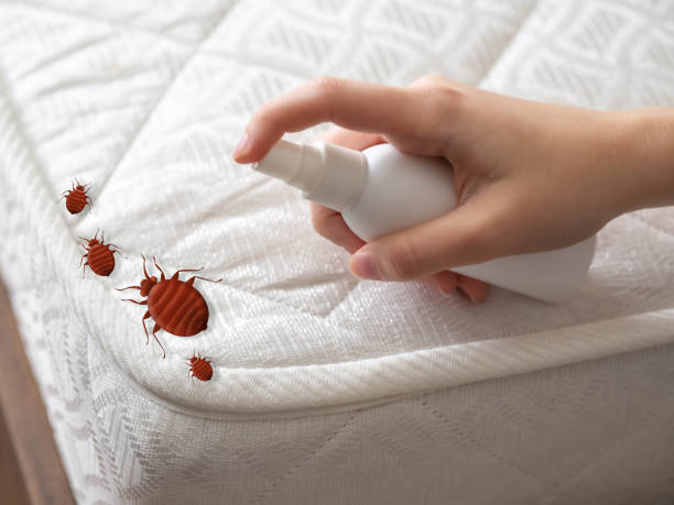 Best Termite Control Services  in Trevorton, PA