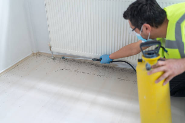 Best Affordable Pest Control Services  in Trevorton, PA